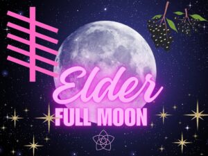 elder_moon 
