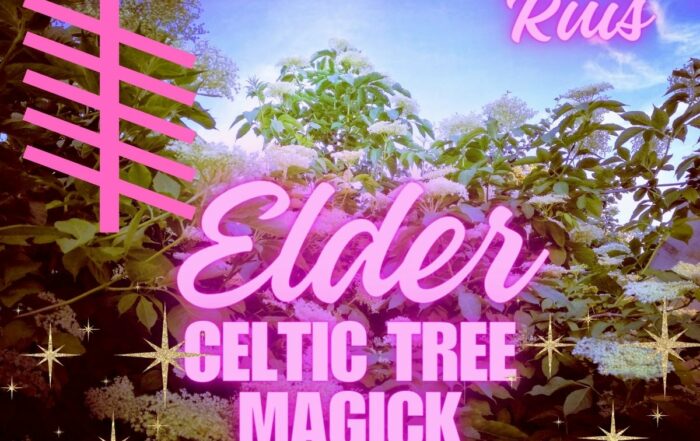 elder_tree_celtic_