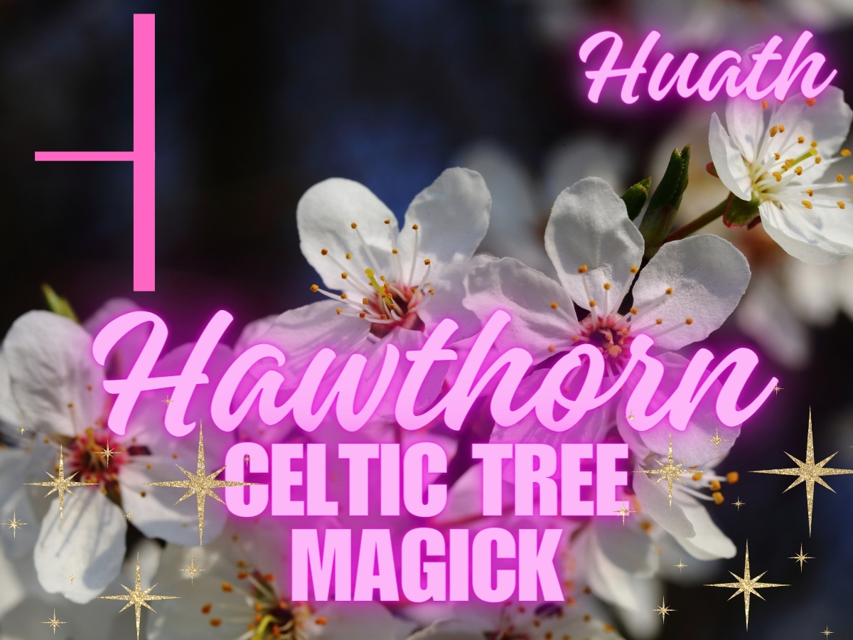 celtic_tree_magick
